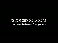 Zoo Skool: Animal porn caught on camera