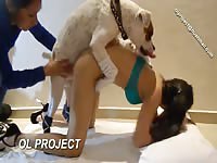 OlProject: Woman enjoys having dog sex for porn