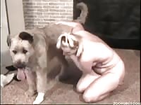 A blonde bitch having dog porn and sucking dick