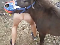 PornFay: Horsey having zooporn with his beautiful owner
