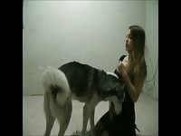 MILF teases husky in zoophilia video