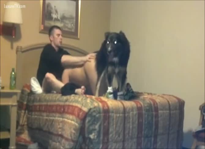 Girl Dog Bf - Boyfriend lets dog fuck his girl in dog porn - Zoo Porn Dog at Katitube