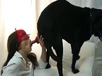 Dog loves owner and fucks her in dog porn