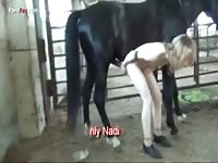 [Horse Sex Video: Zoophilia XXX ] nadia loves horses 2