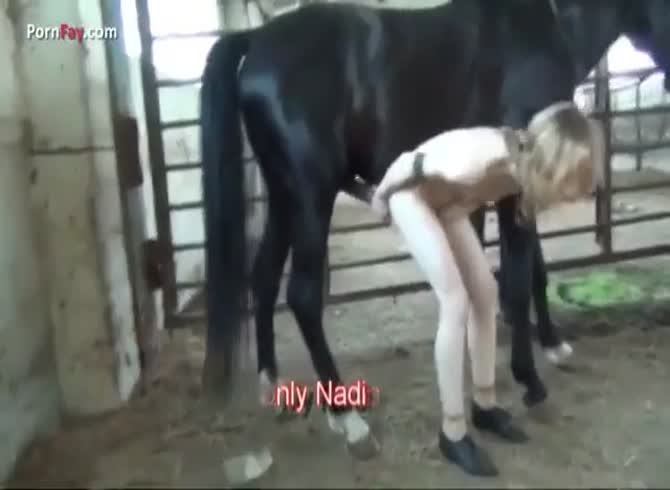 Xixx Vdeio Horses - Horse Sex Video: Zoophilia XXX ] nadia loves horses 2 - Zoo Porn Dog, Zoo Porn  Horse at Katitube