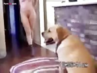 Pornfay: playtime with dog turns into bestiality porn