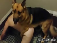 Pornsocket: German shepherd fucks helpless slut bestiality