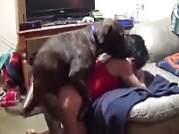 Woman and dog having private date and dog sex