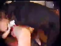 Woman caught having dog sex through peephole