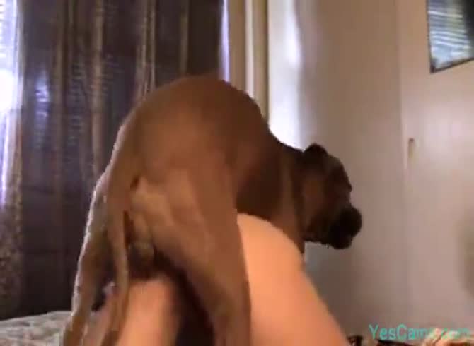 670px x 490px - wife enjoys getting fucked in the ass by her dog - Zoo Porn Dog at Katitube