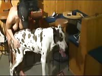 Zooskool: Amateur Zoophilia Porn jenny hug me hound [ Extrem Animal Sex Video ]