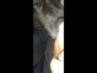 Search kinky Results on Katitube for: guy fuck female dog - Page 2