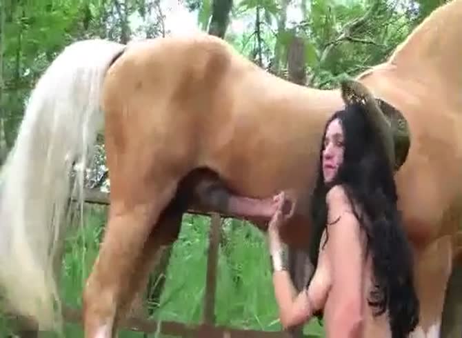 Dick Horse Cock Porn - Brunette knows how to handle a horse dick - Zoo Porn Horse at Katitube