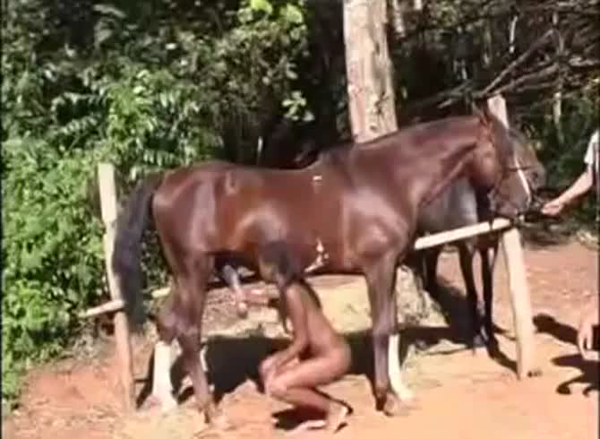 Xxx With Super Hourse - C700 New Young Superb Ebony Model 1st Horse Sex FULL! - Zoo Porn Horse at  Katitube
