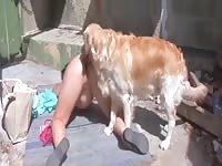 DOGSEX4