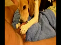 Search kinky Results on Katitube for: knotty s missinoary man dog ...