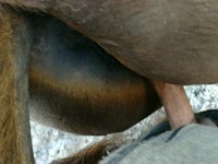 Search kinky Results on Katitube for: zoo tube porn - Page 63