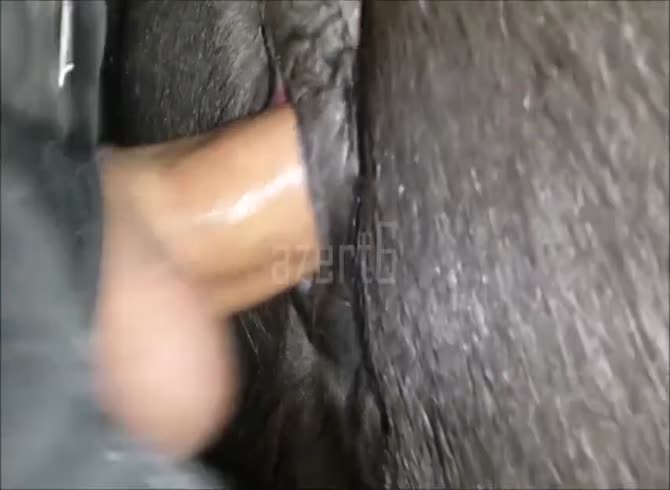 670px x 490px - Man and mini Mare - Zoo Porn Horse, Zoo Porn With Men at Katitube