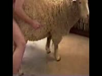 Sex Girl With Sheep - Sheep Fuck