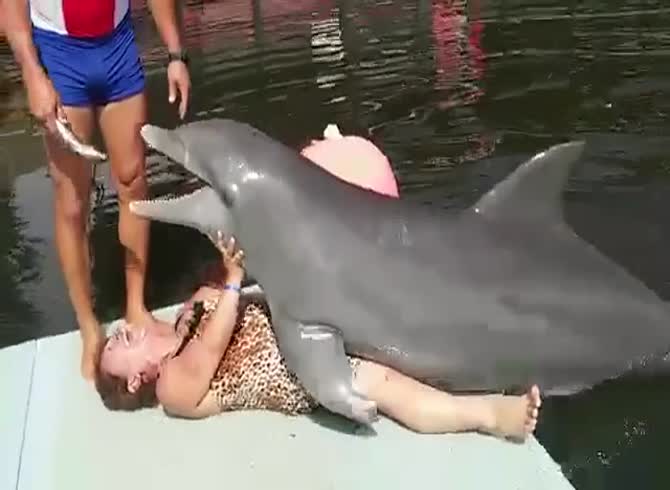 Dolphin Zoo Porn - Rare video - Dolphin humping woman - Zoo Porn Other at Katitube
