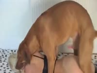 Search kinky Results on Katitube for: sex dog - Page 189
