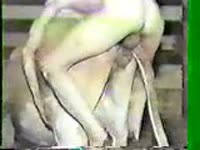 Animalboy cow sex - Zoo Porn Amateur, Zoo Porn Other, Zoo Porn ...