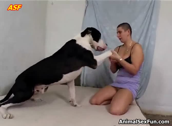 Dog Porn Sluts