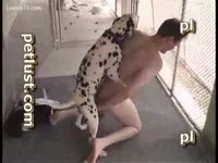 PornScum: Dalmatian fucks black-haired whore in amateur dog porn ...