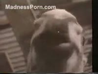 [ Bestiality Video ] Alman kız sikmekten hoşlanıyor ... - KatiTube
