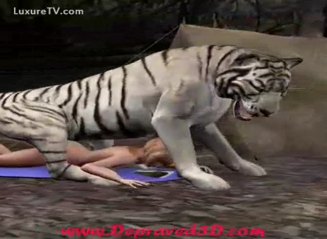 Zoophilia XXX Film  White tiger bonks a nude bitch in the wild photo photo