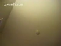 Pet Sex ] Wet kitty with dog wang - Zoo Porn Dog at Katitube