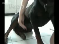 myhash/mp4/5ee4d79f32b0aYoung brunette hair honey tries some bestial sex.mp4-3.jpg