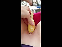Tight and wet cunt gets fucked by corn on camera