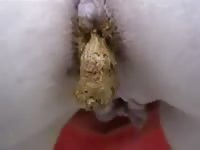 [ Shit Fetish Video ] Teenage brunette felt horny and ready to poop