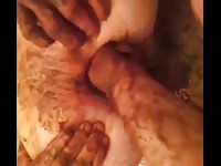 Poop  Sex Tube - Scat whore have her poop covered pussy fisted