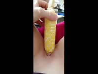 Using a cob of corn as dildo for my fresh cunt
