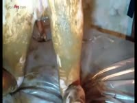 [ Scat Fetish XXX ] Hot lesbian covered in shit scat sex - Katitube Kinky Sex