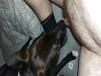 Me and my dog pt2