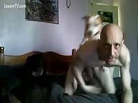 Gay dog sex