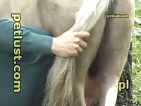 Prepping young stallion for anal surfing fun!
