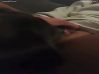Dog eating her Squirting Pussy
