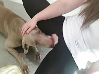 Horny Hot Teen Getting Her Pussy Eaten