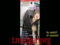 Chinese beauty live broadcast her dog estrus