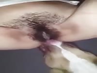 Horny milf gets fucked by pitbull