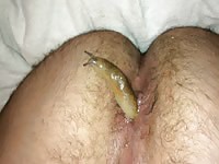 Slug in ass 