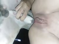 พลอยลองเย็ดกับหมา