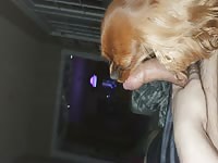 Pup licking my cock as I unsheath 