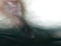 Delicia de enorme culo y enorme coño peludo 