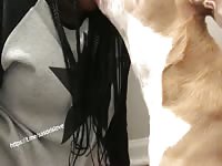 Dog kisses