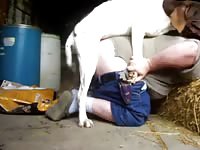 Two dogs fuck mavsboy three times gaybeast rip